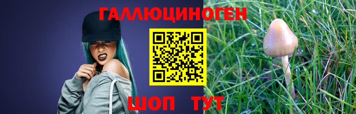 купить наркоту  Вход с VPN  Псилоцибиновые грибы MAGIC MUSHROOMS  Кубинка  Галлюциногенные грибы мицелий 