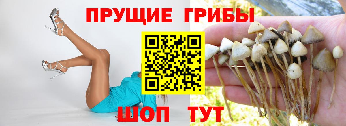 Псилоцибиновые грибы Magic Shrooms Кубинка
